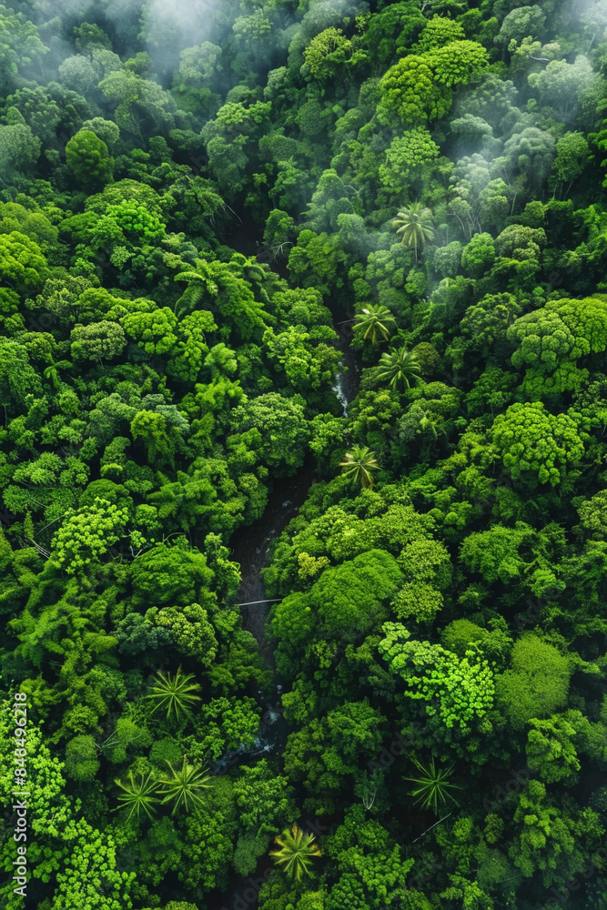 Aerial Drone Photo of Lush Green Tropical Forest - Top View Aerial Drone Photo of Lush Green Tropical Forest - Top View