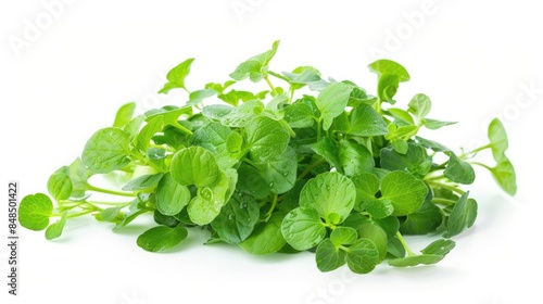 Watercress isolated on a white background photo