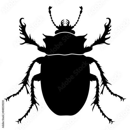 Beetle Icon - Isolated Vector