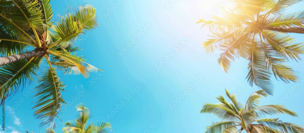 Coconut palm trees create a picturesque frame against a clear blue sky, perfect for copy space.