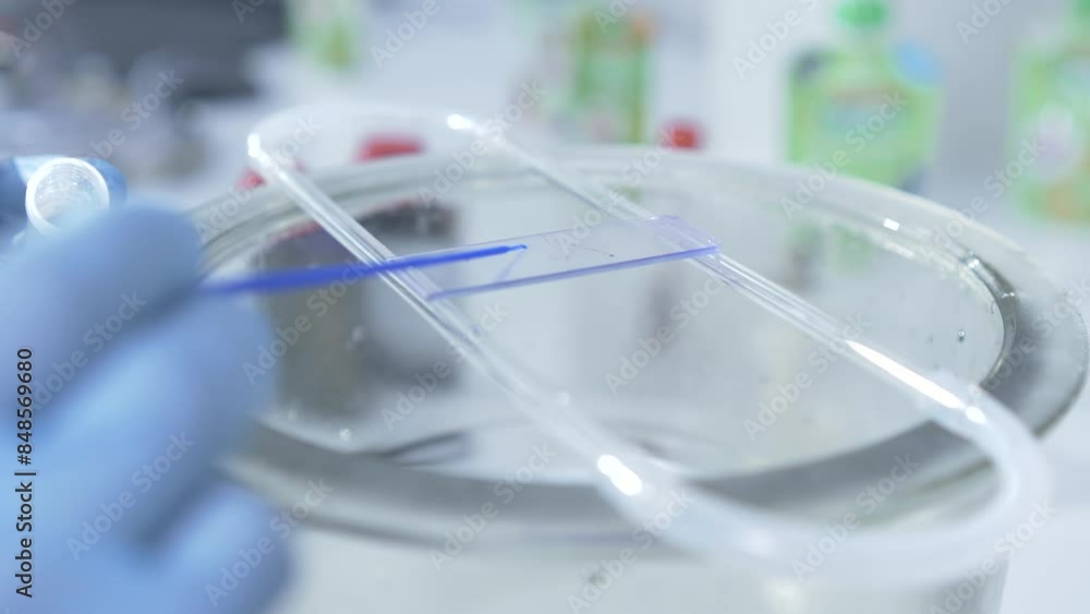 In a laboratory, water is applied to a glass slide for viewing under microscope In a laboratory, water is applied to a glass slide for viewing under microscope