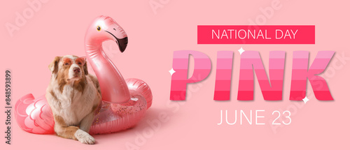 Cute Australian Shepherd dog in sunglasses with inflatable ring in shape of flamingo on pink background