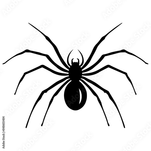 black widow spider