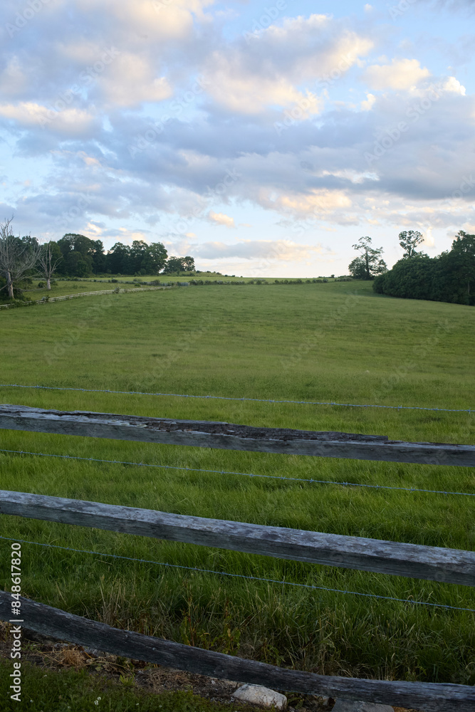 Bucolic landscape with grass and trees. Countryside view in the summer. Bucolic landscape with grass and trees. Countryside view in the summer.
