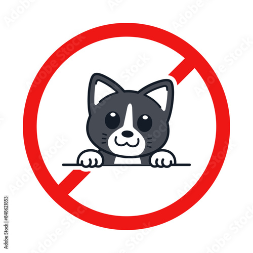 No Cat Sign on White Background