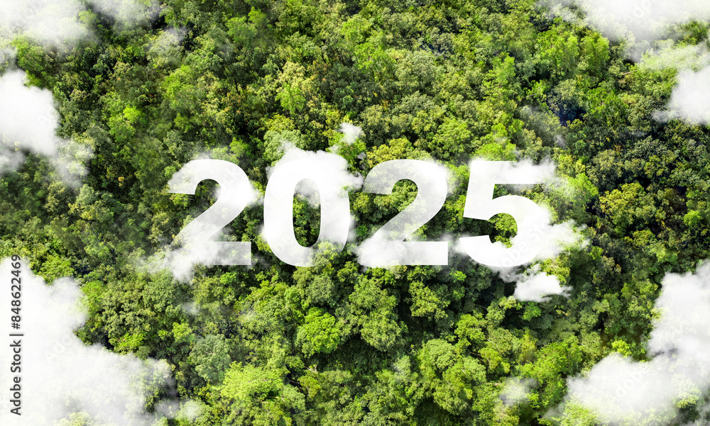 New goals, plans and vision for 2025, sustainable environmental