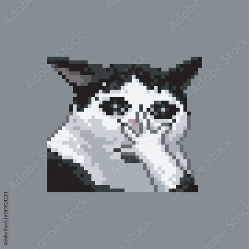 Shocked cat, pixel art meme