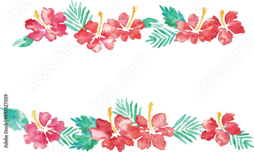 水彩画。水彩タッチのハイビスカスベクターフレーム。南国風ハイビスカスの背景。Watercolor painting. Hibiscus vector frame with watercolor touch. Tropical style hibiscus background.
