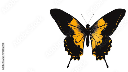 Close-up of a vibrant yellow and black butterfly with spread wings, isolated on a white background highlighting its intricate patterns.