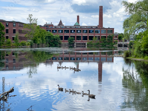 A lovely industrial pond area with wild ducks swimming with duckling babies with factory buildings in the landscape background. Urban town of North Andover, MA.