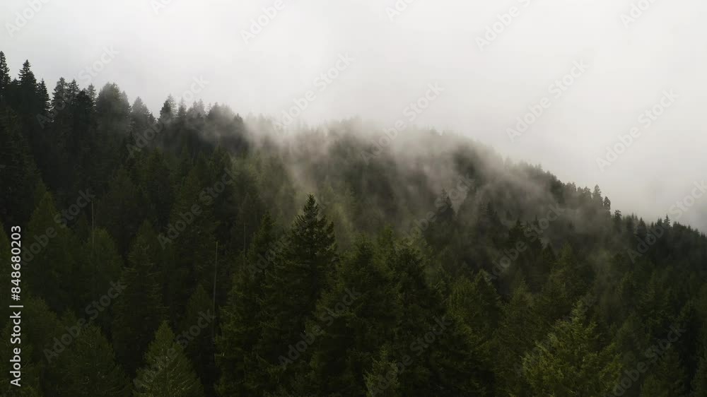 Fog mist or clouds rise up along forest on hillside as drone flies above trees, PNW Fog mist or clouds rise up along forest on hillside as drone flies above trees, PNW