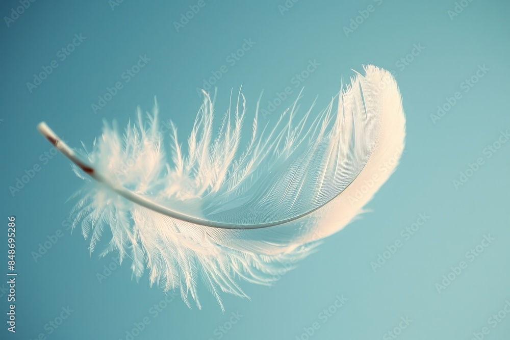 White feather drifting in blue sky White feather drifting in blue sky