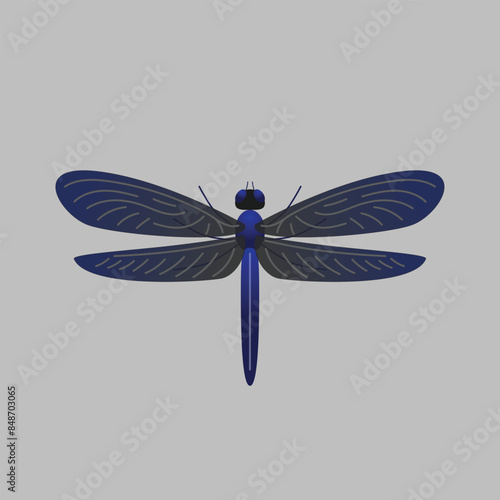 Dragonfly Animal Simple Flat Design Vector
