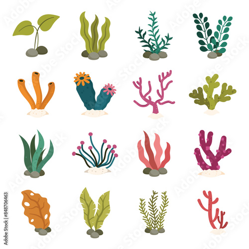 Underwater Plant Vector Set