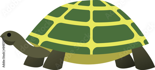 Turtle Animal Simple Flat Design Vector