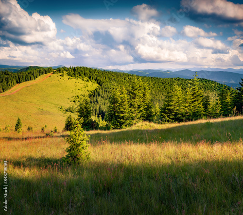 Captivating summer view of lisniv mountain range. Wonderful morning scene of Carpathians, Ukraine, Europe.  Beauty of countryside concept background.