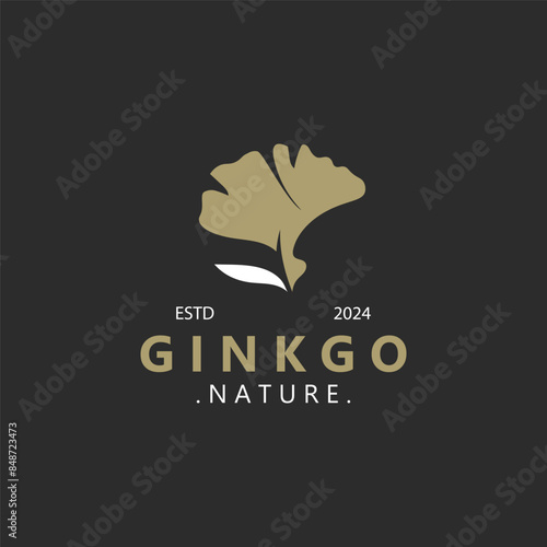 Ginkgo biloba leaf logo. can be used for herbal health products modern style logo design template