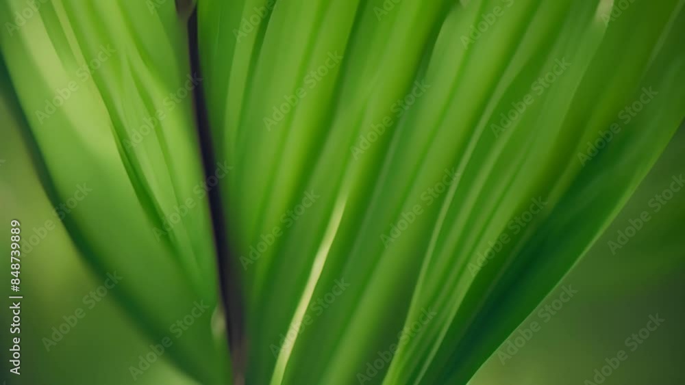 Green Palm Leaf Texture Generative AI Green Palm Leaf Texture Generative AI
