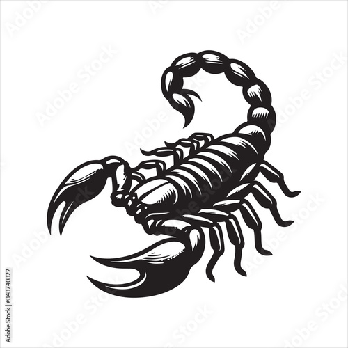 scorpion vector