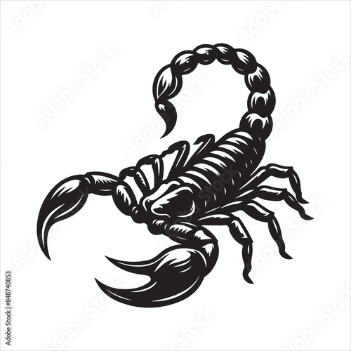 scorpion vector