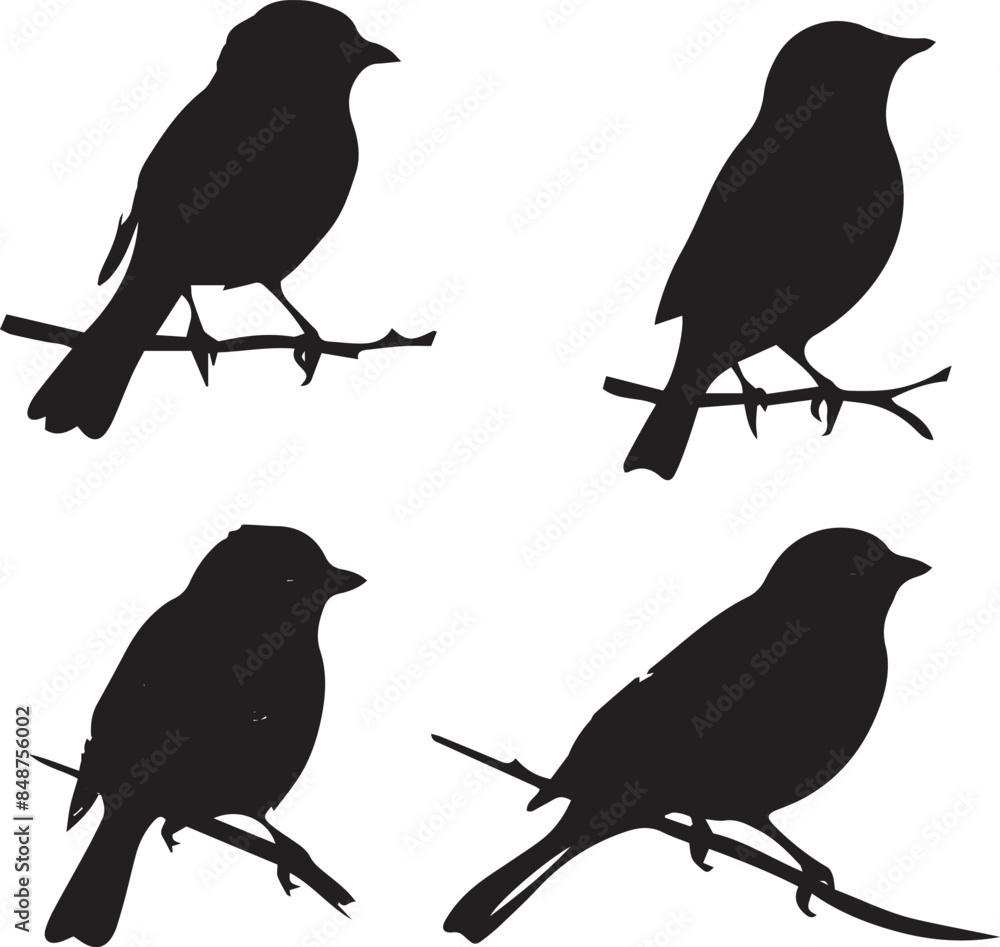 Obraz premium Birds silhouette black vector