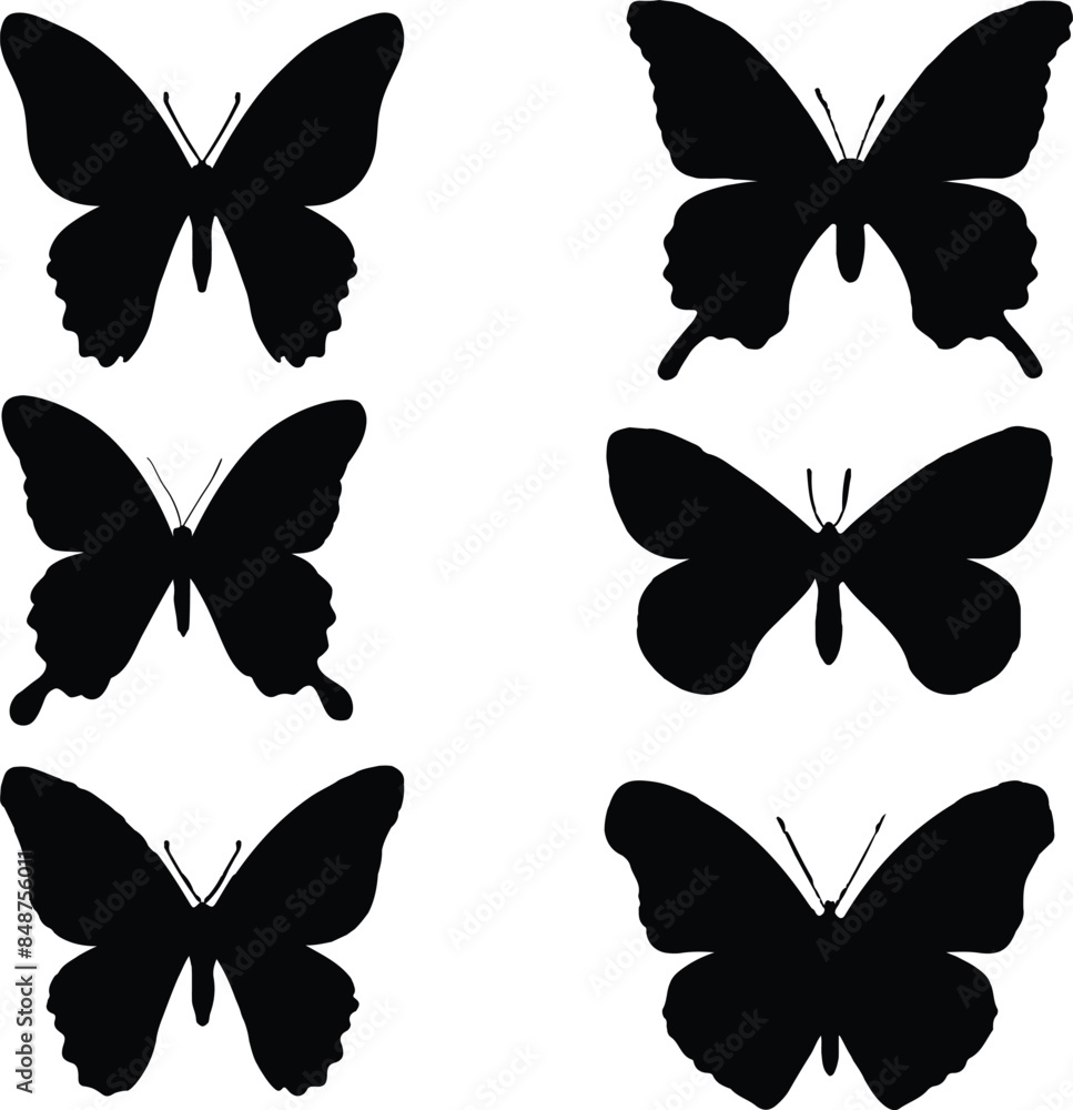 collection of butterflies collection of butterflies