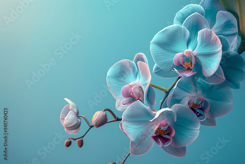 Close up of purple orchid flower with blur background.