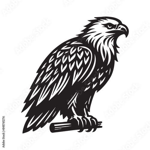 Bald Eagle Silhouette Vector Art