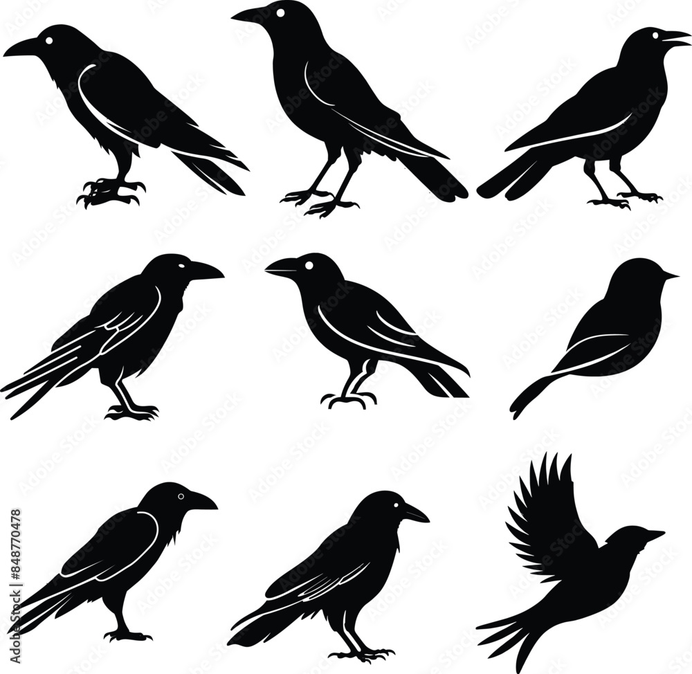 Obraz premium Stylish bird silhouette vector art, minimalist design, elegant lines