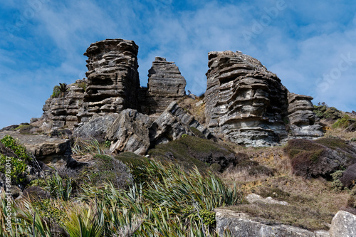 Windswept karst rocks softened by flax and windblown foliage. photo