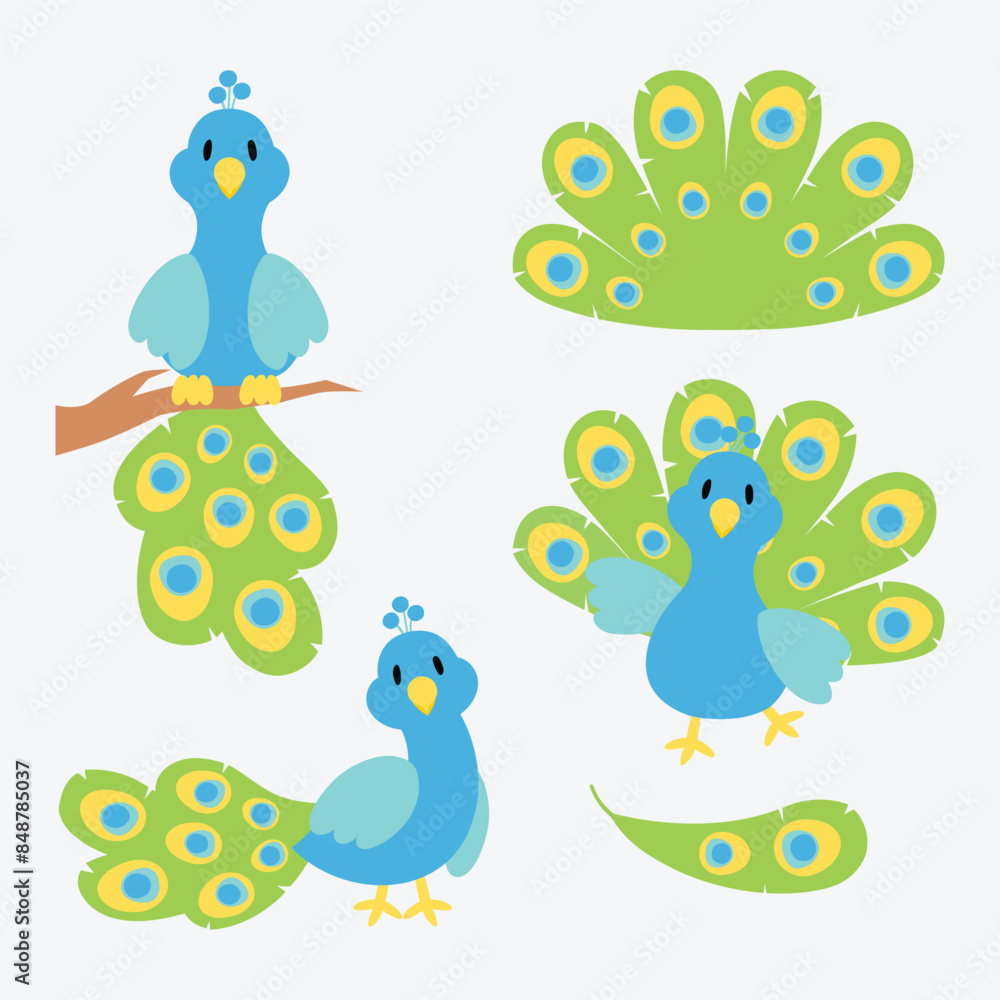 Peacock cartoon Peacock cartoon