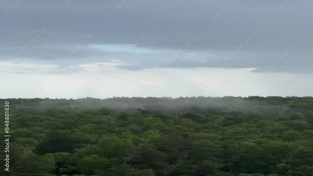 Fog over the forest in rainy weather Fog over the forest in rainy weather