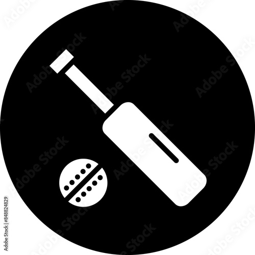 Vector Design Cricket Icon Style