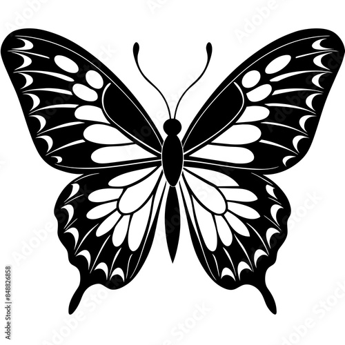 butterfly icon illustration