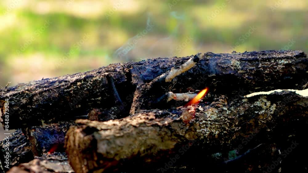 Intense Fire Flames Engulfing Forest Close Up. Intense heat and smoke. Natural disaster, fire, environmental pollution and ecology Intense Fire Flames Engulfing Forest Close Up. Intense heat and smoke. Natural disaster, fire, environmental pollution and ecology