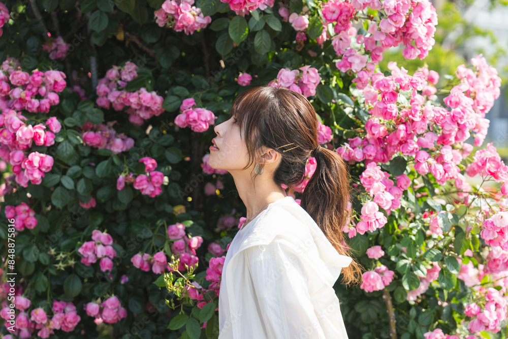 Fototapeta premium バラ園にいる女性