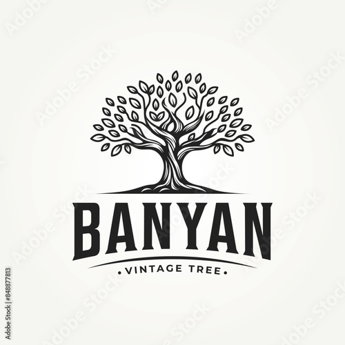 vintage classic oak banyan old tree label logo vector illustration design
