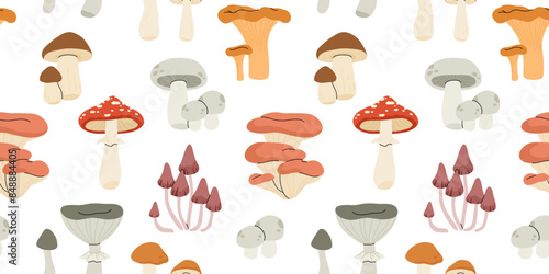 Cartoon edible and poisonous mushrooms, autumn forest plants. Seasonal mushroom food, chanterelle, champignon and amanita flat vector seamless pattern. Natural organic mushrooms