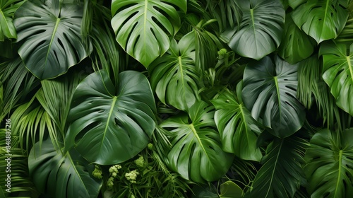 tropical leaf collage, featuring an assortment of leaves in various shapes, sizes, and shades of green, arranged in a harmonious pattern.