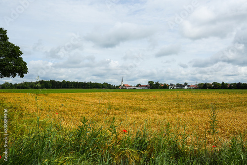 Feldmoching church with wheat field in the foreground photo