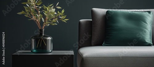 Close up of a stylish black vase and gray box on a sleek black side table beside a green sofa with copy space image