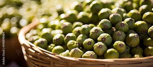 In Ortigia island s local market in Sicily s Syracuse province there are capers with copy space image