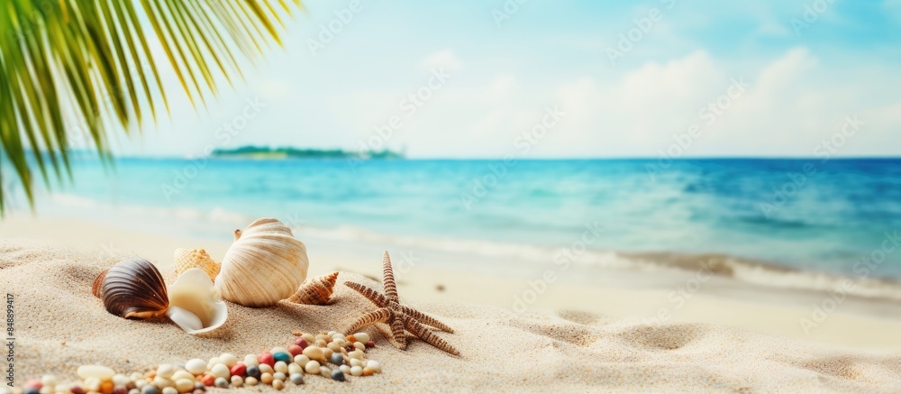 Scenic tropical beach with shells a palm tree and a colorful background ideal for a copy space image Scenic tropical beach with shells a palm tree and a colorful background ideal for a copy space image