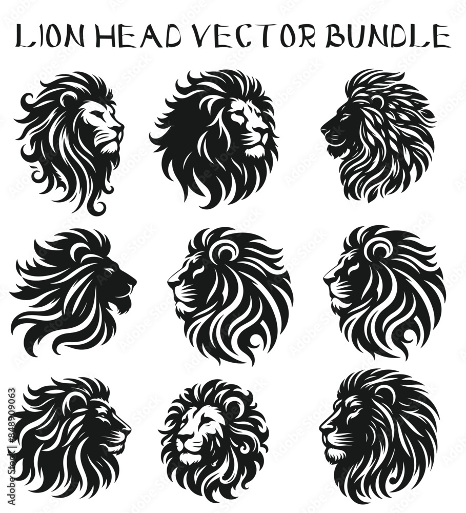 Lion head bundle for any purposes Lion head bundle for any purposes
