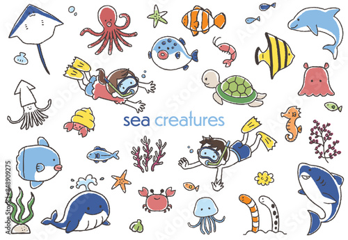 かわいい海の生き物の手描きイラストセット