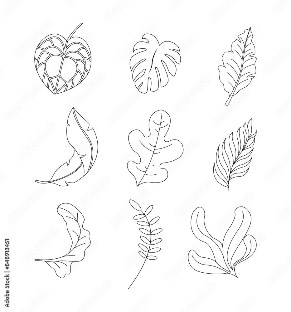 Obraz premium Vector Collection of Various Tropical Leaves Illustration