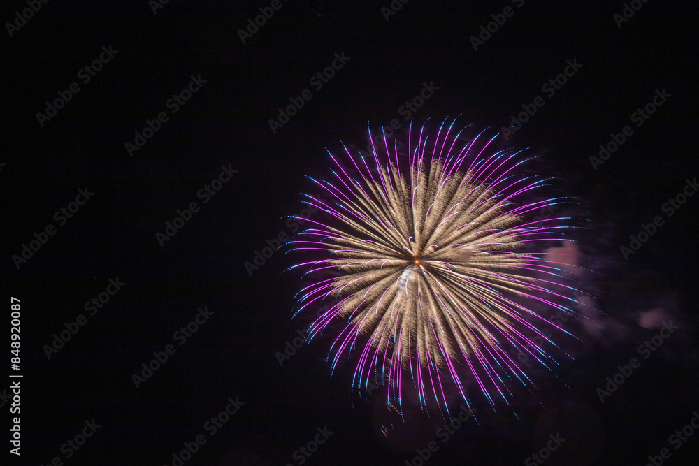 有名花火師による芸術花火