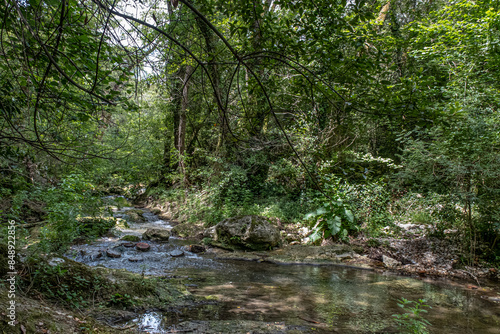 View of La Brague River in the department of Alpes-Maritimes as seen in La Brague Park, near Biot Village, Provence-Alpes-Cote d'Azur, French Riviera, France