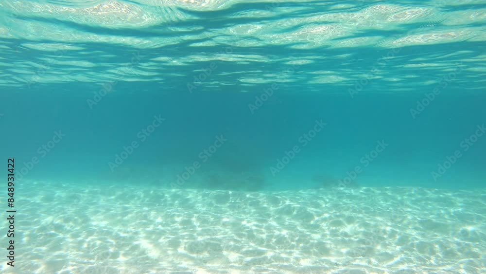 Crystal clear sea water at Furuzamami beach on Zamami island, Kerama archipelago, Okinawa, Japan, Asia. Underwater view of Japanese coast and blue waters near coral reef. No people, copy space Crystal clear sea water at Furuzamami beach on Zamami island, Kerama archipelago, Okinawa, Japan, Asia. Underwater view of Japanese coast and blue waters near coral reef. No people, copy space