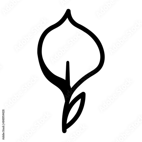 peace lily